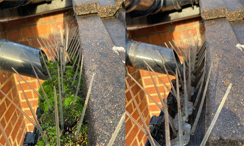 gutter spike